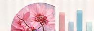 Sakura Pure Beauty Online company logo